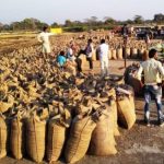 छ.ग. : पिछले वर्ष MSP पर उपज बेचने वाले किसानों की संख्या 94%, इस वर्ष आंकड़ा 98% रहने की उम्मीद